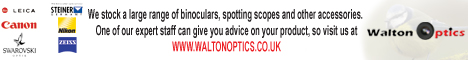 Walton Optics