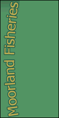 Moorland Fisheries