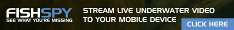Large banner example