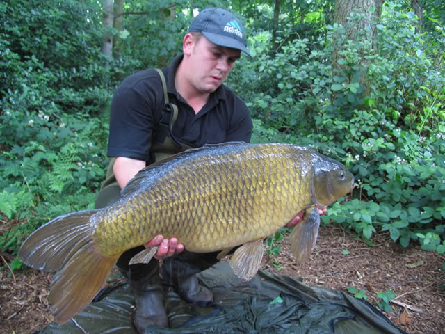 The Long Common again, at a slightly lower weight