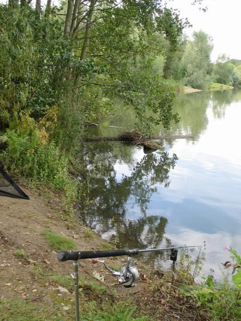 The spot was just to the right of the coots nest
