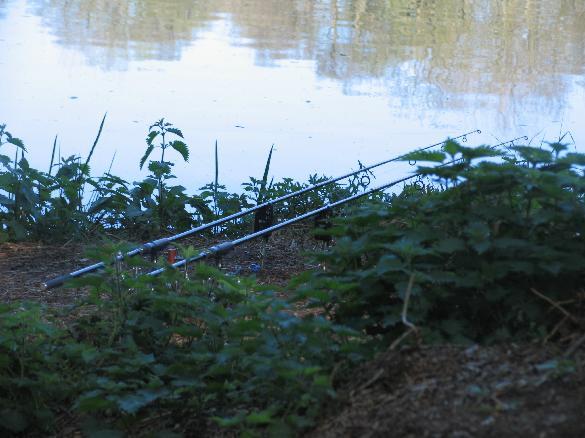 2 rods only