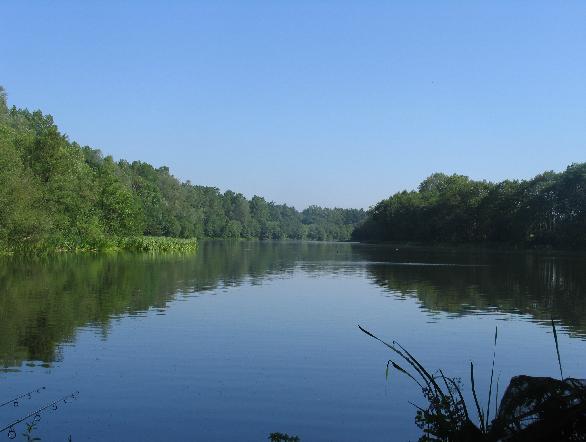 RIP the Mere