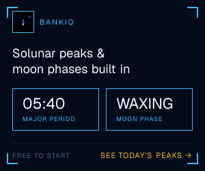 BankIQ - Know before you go