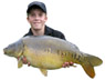 Rob-thecarper