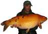 borntofish